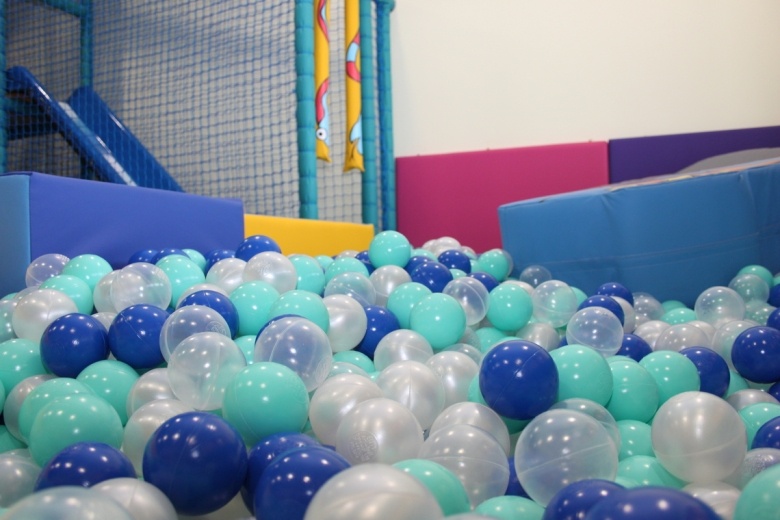 Little Harbour soft play area and ball pit