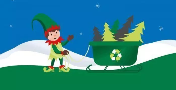 Illustration showing elf collecting Christmas trees in a sleigh