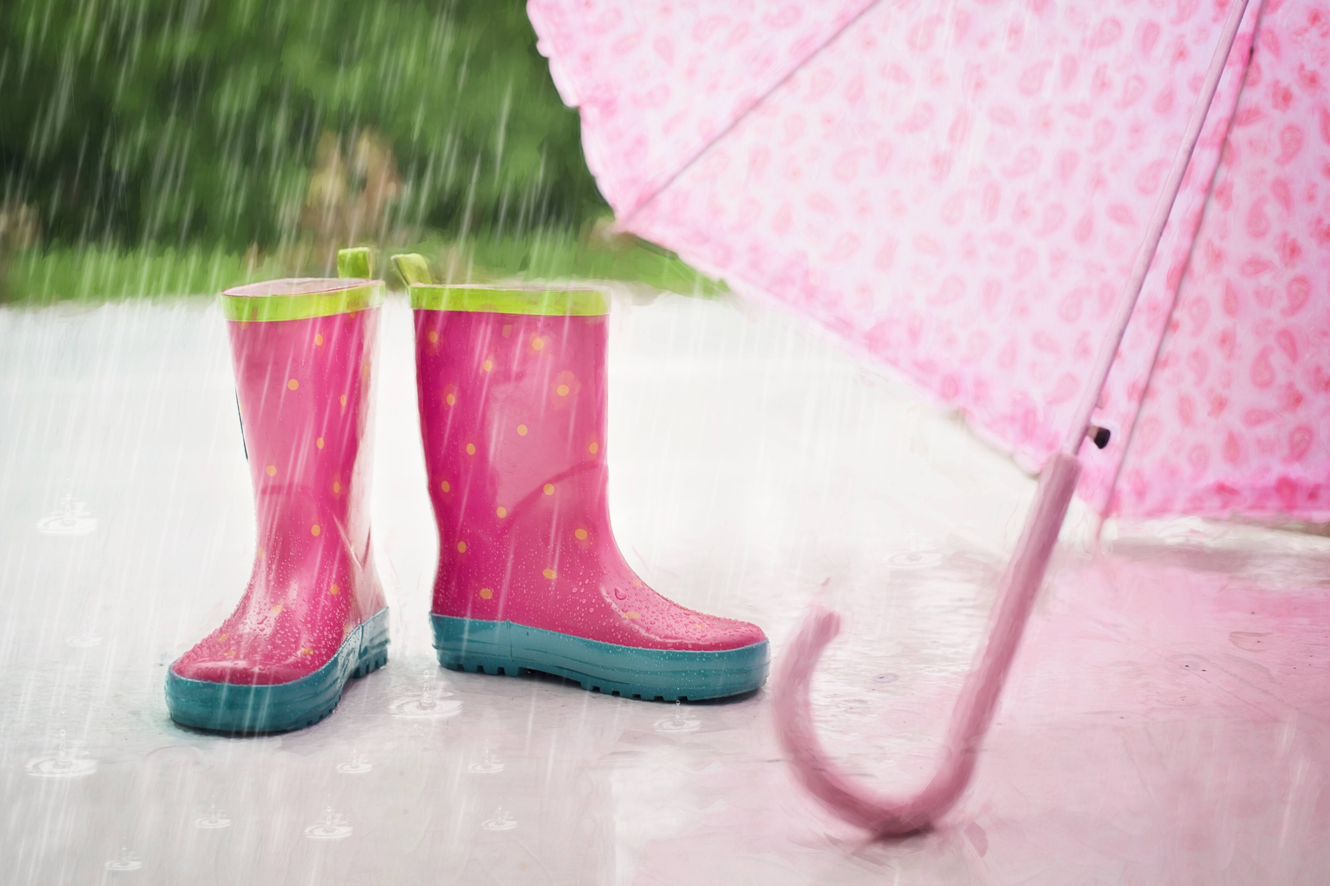 Wear your wellies Clearance