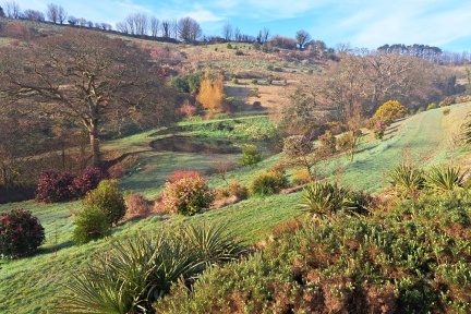 Green fields
