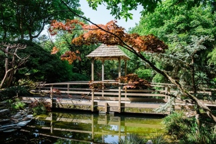 Japanese Garden bridge over the pond