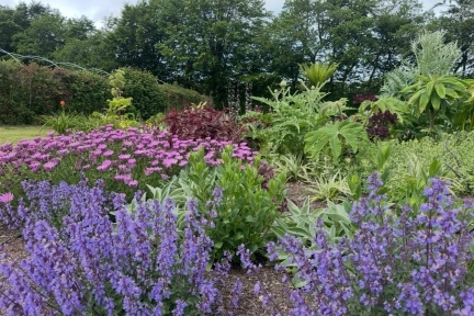 Mitchell fruit garden
