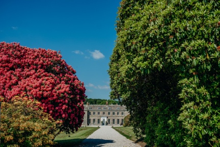 Boconnoc open gardens