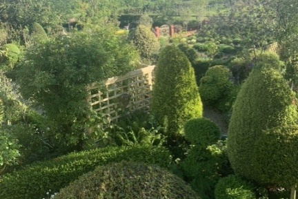 Eastfield Open Garden, Somerset