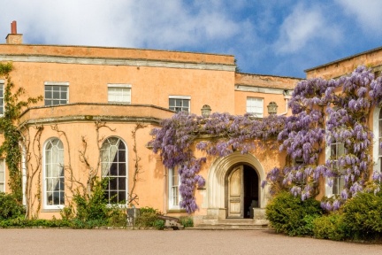 Killerton House