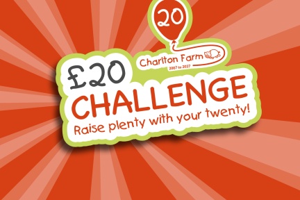 20 birthday £20 challenge web header