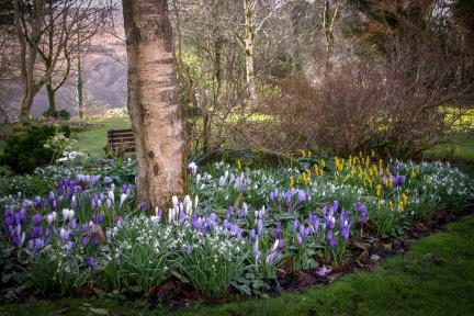 Open Garden Andrew's Corner Spring 