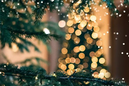 Christmas tree with lights and snow