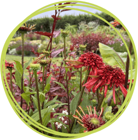 Mitchell Fruit Garden