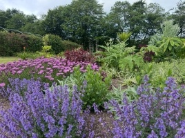 Mitchell fruit garden