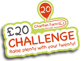 20 birthday £20 challenge web header