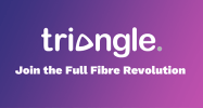 Triangle Networks logo