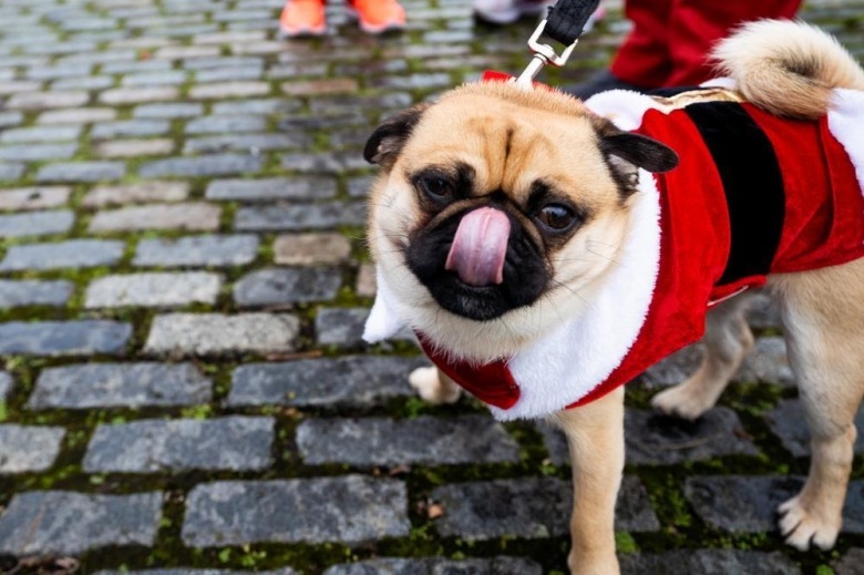 Santas On The Run North Somerset