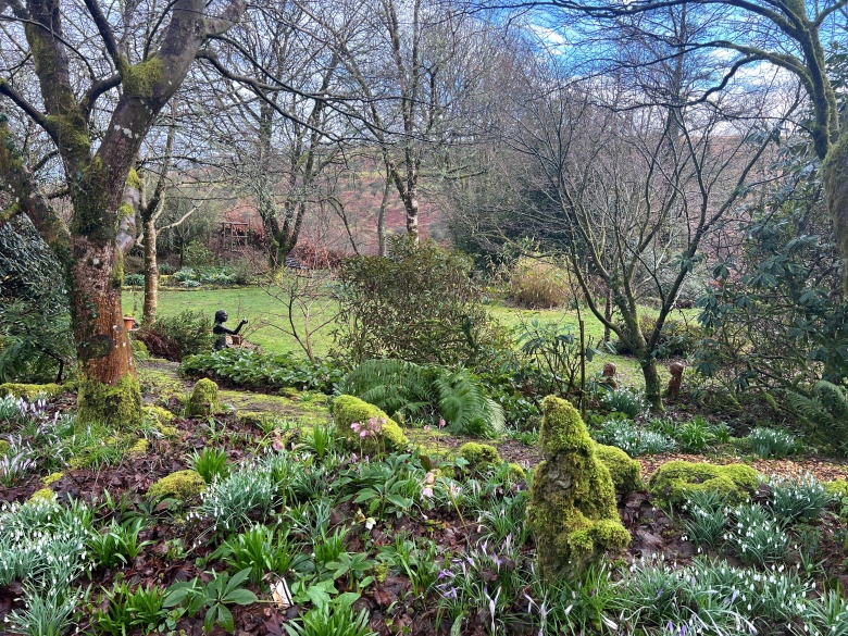 Belstone Snowdrop Sunday