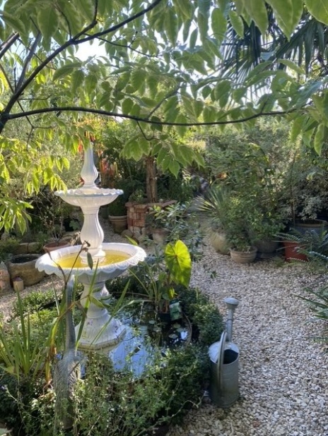 Eastfield Open Garden, Somerset