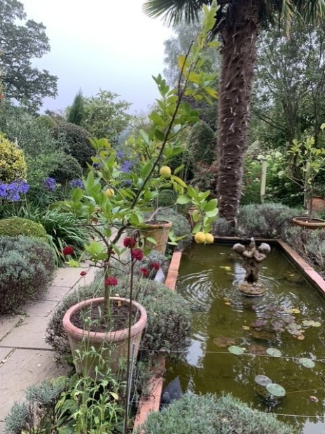Eastfield Open Garden, Somerset