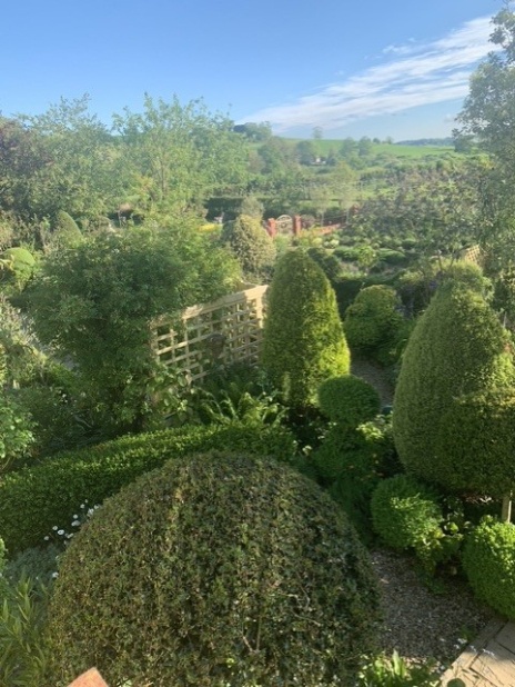 Eastfield Open Garden, Somerset