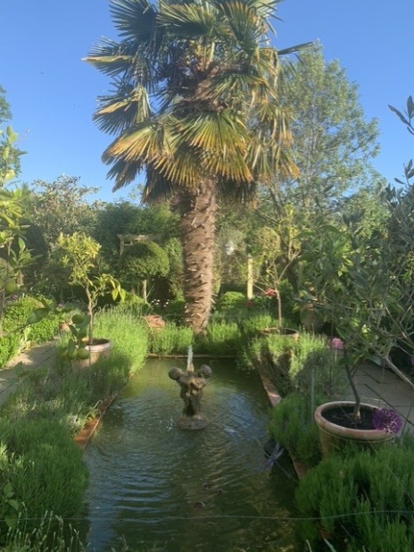 Eastfield Open Garden, Somerset