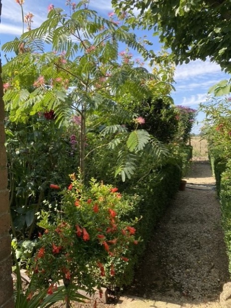 Eastfield Open Garden, Somerset