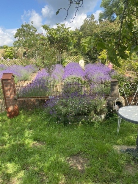 Eastfield Open Garden, Somerset