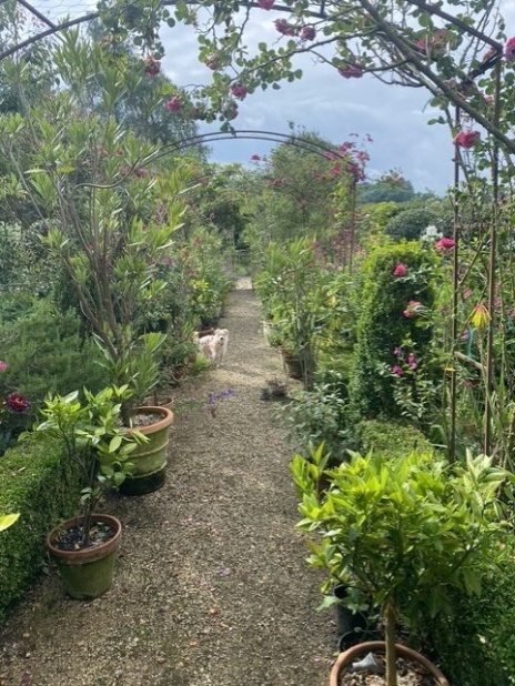 Eastfield Open Garden, Somerset