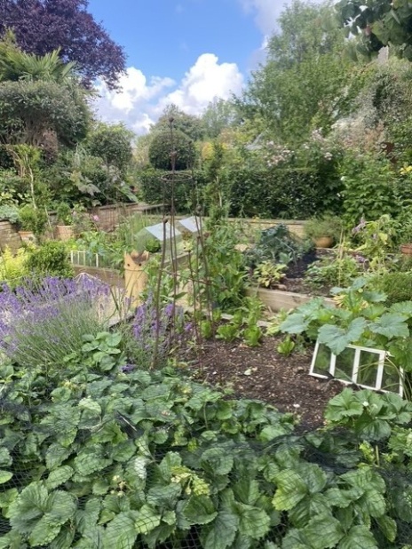 Eastfield Open Garden, Somerset