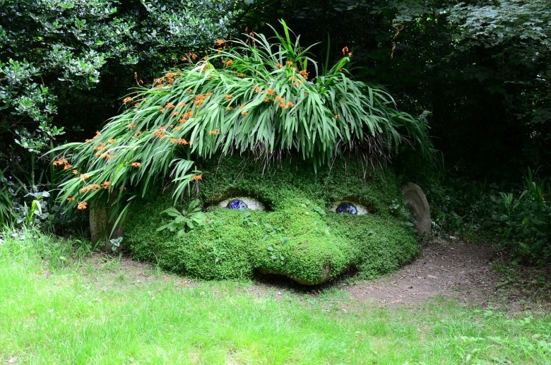 gnome head made from growing plants 