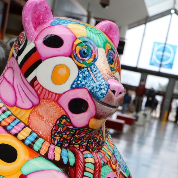 The bears on display at Affinity Devon