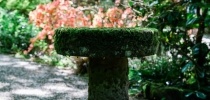 Japanese garden stone sculpture close up thumbnail