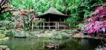 Japanese Garden tea house thumbnail