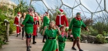 Family at the Eden Project dressed as elves thumbnail