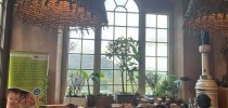 The Pig at Combe Business Club thumbnail