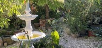 Eastfield Open Garden, Somerset thumbnail