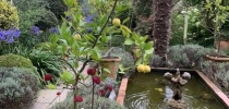 Eastfield Open Garden, Somerset thumbnail