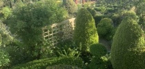 Eastfield Open Garden, Somerset thumbnail