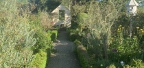 Eastfield Open Garden, Somerset thumbnail