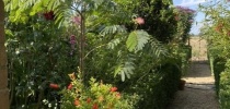 Eastfield Open Garden, Somerset thumbnail
