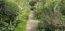 Eastfield Open Garden, Somerset thumbnail