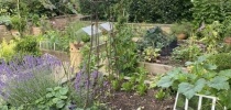 Eastfield Open Garden, Somerset thumbnail