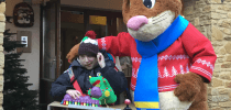 Gary the Stagecoach Rabbit at Little Bridge House thumbnail