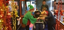 Gary the Stagecoach Rabbit at Little Bridge House thumbnail