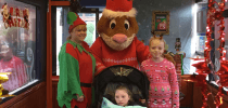 Gary the Stagecoach Rabbit at Little Bridge House thumbnail
