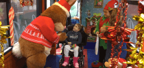 Gary the Stagecoach Rabbit at Little Bridge House thumbnail