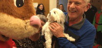 Gary the Stagecoach Rabbit at Little Bridge House thumbnail