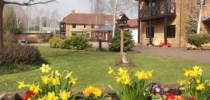 Little Bridge House gardens in springtime thumbnail