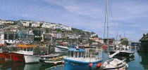 colourful boats at Mevagissey Harbour thumbnail