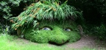 gnome head made from growing plants  thumbnail