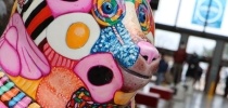 The bears on display at Affinity Devon thumbnail