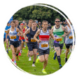Group of runners running on green grass