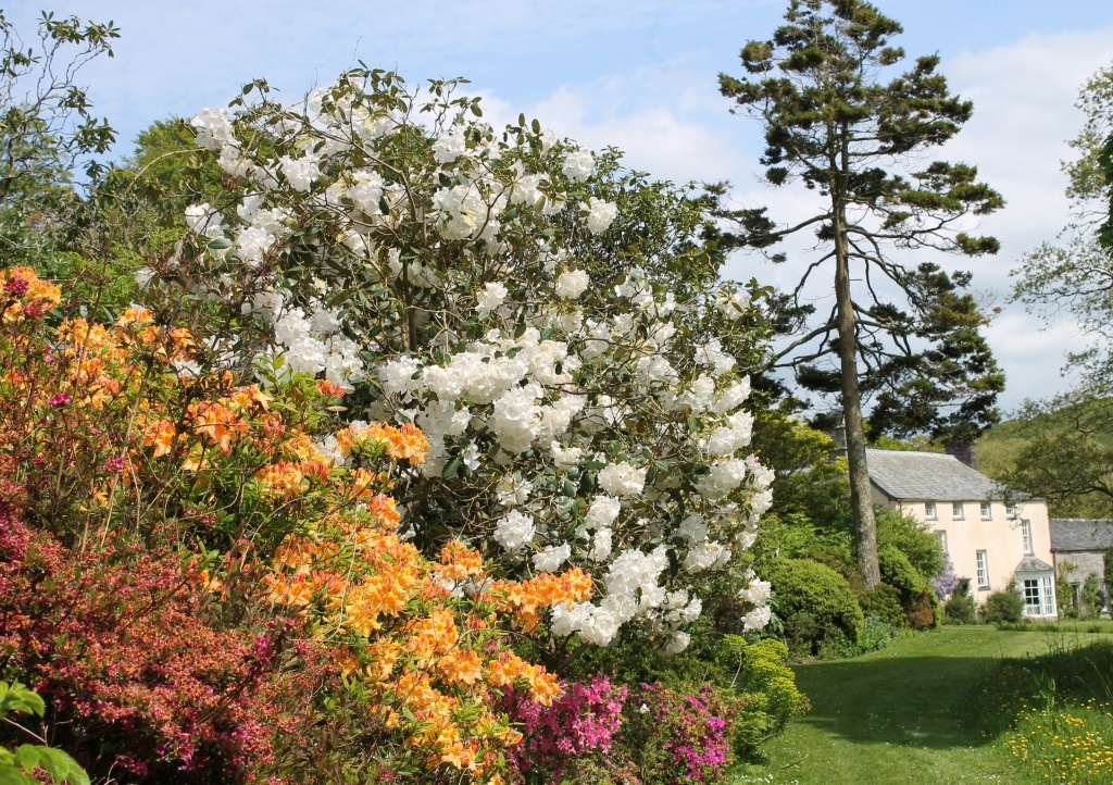The gardens at Lavethan Manor in Blisland will be opening in support of CHSW